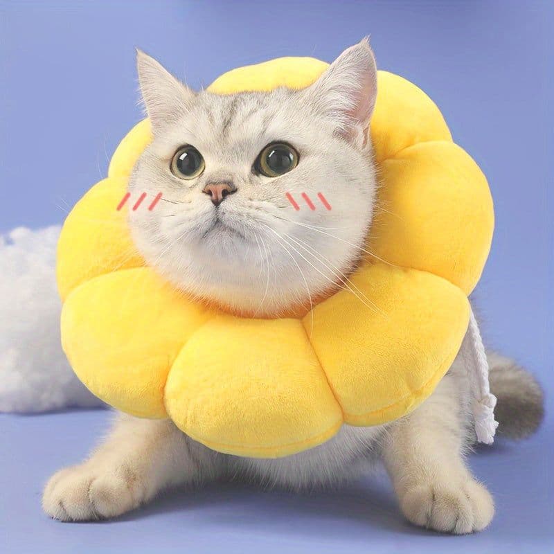 image-Cat Small Dog Recovery Collar, Cute Sunflower Neck Cone After Surgery, Adjustable Pet E Collar, Wound Healing Protective Cone Surgery Recovery Elizabethan Collars For Small Pets