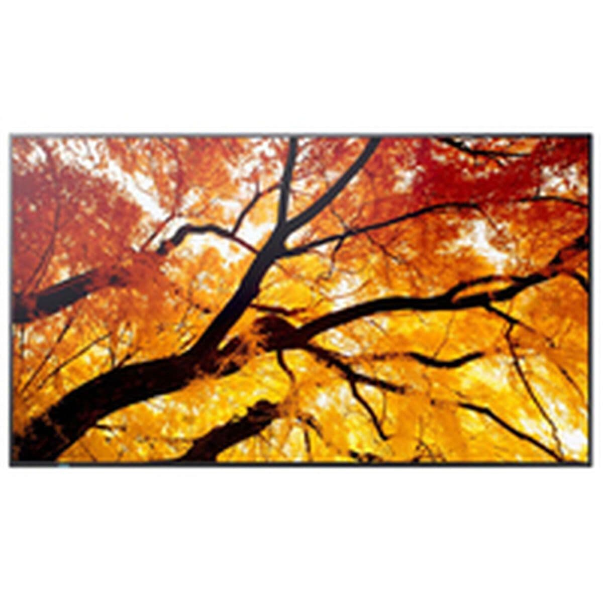 image-Videowall Monitor Sharp 60006057 4K Ultra HD 74,5"