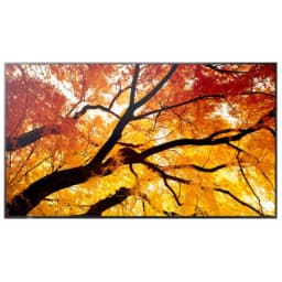 image-Videowall Monitor Sharp 60006057 4K Ultra HD 74,5"
