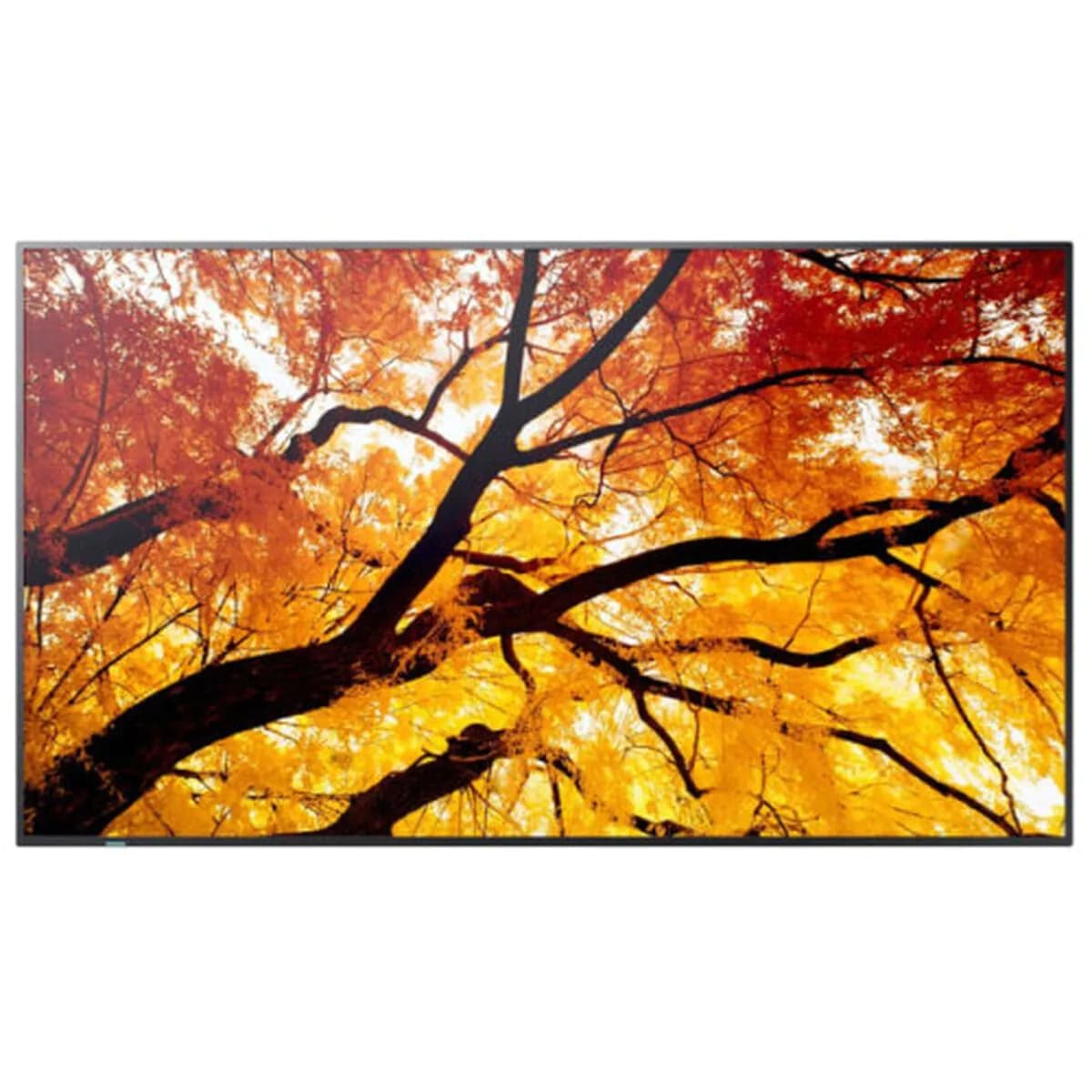 image-Videowall Monitor Sharp 60006057 4K Ultra HD 74,5"
