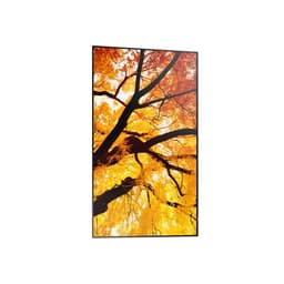 image-Videowall Monitor Sharp 60006052 Full HD 32"