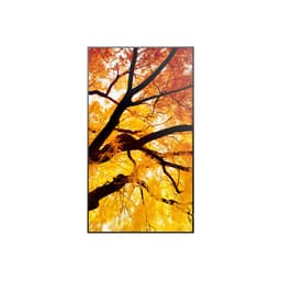 image-Videowall Monitor Sharp 60006052 Full HD 32"