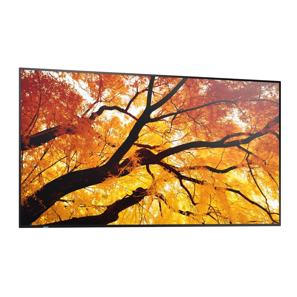 image-Videowall Monitor Sharp 60006052 Full HD 32"