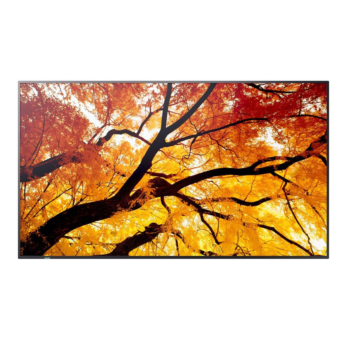 image-Videowall Monitor Sharp 60006052 Full HD 32"