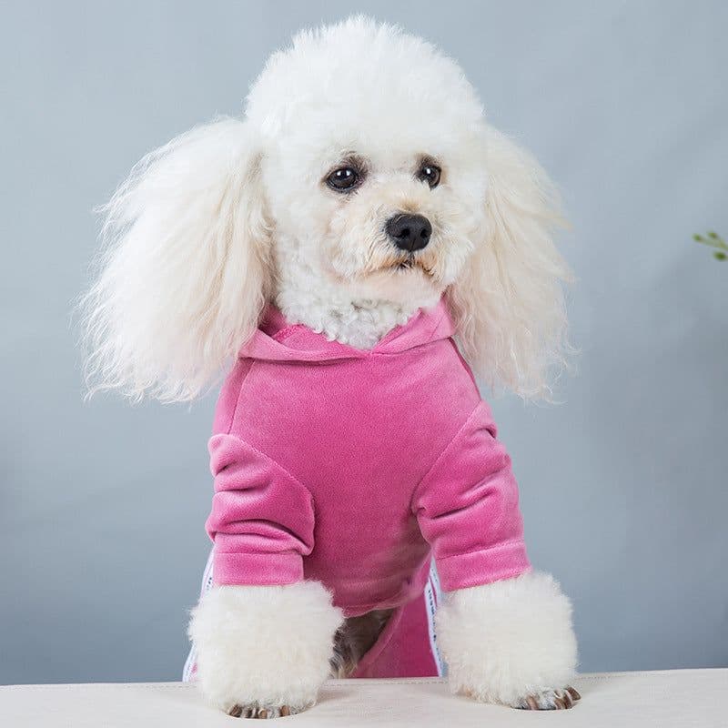 image-Dog clothes spring and autumn new gold velvet four-legged sports and leisure clothing Teddy clothes one-piece pet four-legged clothing
