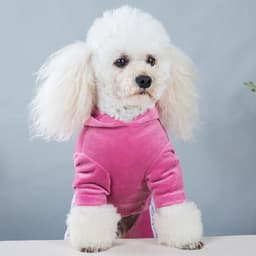 image-Dog clothes spring and autumn new gold velvet four-legged sports and leisure clothing Teddy clothes one-piece pet four-legged clothing