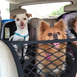 image-Pet Supplies Amazon Explosive Model Car Pet Isolation Net Car Rear Isolation Net Pet Supplies Spot