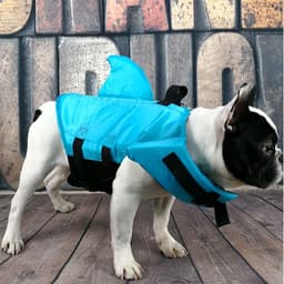 image-Spring and summer new big and small dog tide brand pet swimsuit shark fin dog swimsuit law fighting professional life jacket