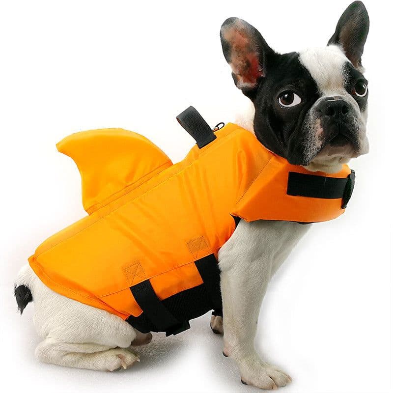 image-Spring and summer new big and small dog tide brand pet swimsuit shark fin dog swimsuit law fighting professional life jacket