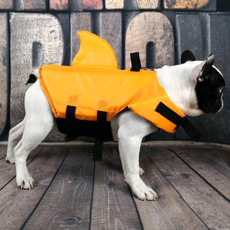 image-Spring and summer new big and small dog tide brand pet swimsuit shark fin dog swimsuit law fighting professional life jacket