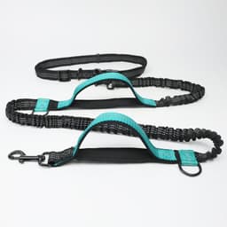 image-Amazon pet leash portable running reflective double retractable dog leash dog chain leash pet supplies
