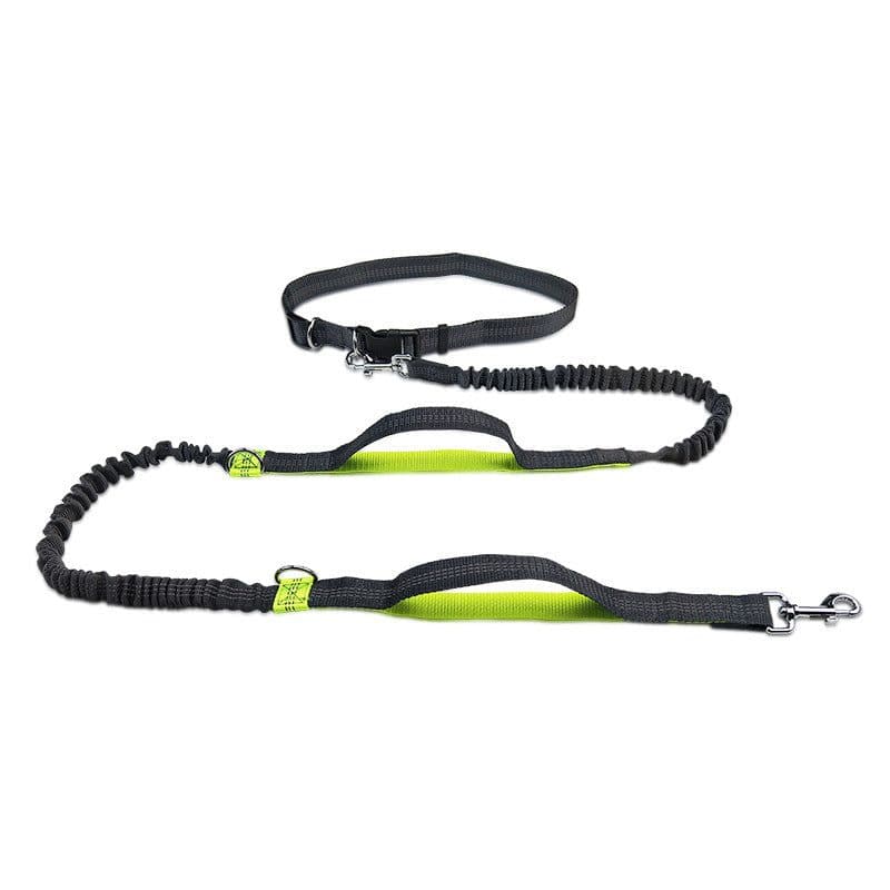 image-Amazon pet leash portable running reflective double retractable dog leash dog chain leash pet supplies