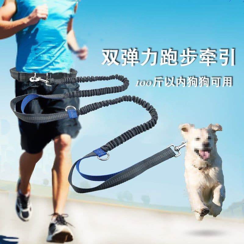 image-Amazon pet leash portable running reflective double retractable dog leash dog chain leash pet supplies