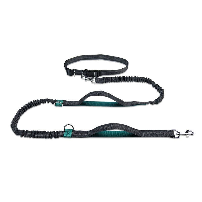 image-Amazon pet leash portable running reflective double retractable dog leash dog chain leash pet supplies