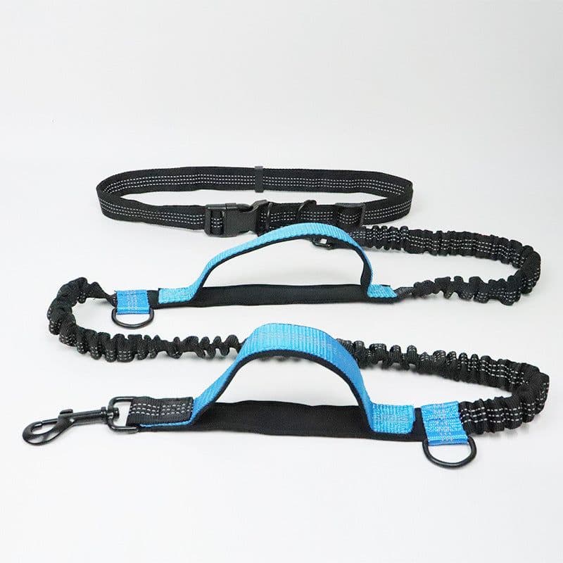 image-Amazon pet leash portable running reflective double retractable dog leash dog chain leash pet supplies
