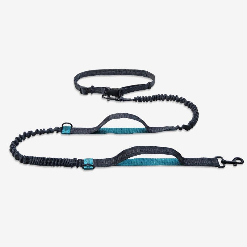 image-Amazon pet leash portable running reflective double retractable dog leash dog chain leash pet supplies