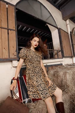 image-Leopard High Waist Casual Vintage Dresses Women,Autumn Short Sleeve