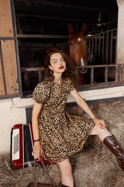 image-Leopard High Waist Casual Vintage Dresses Women,Autumn Short Sleeve