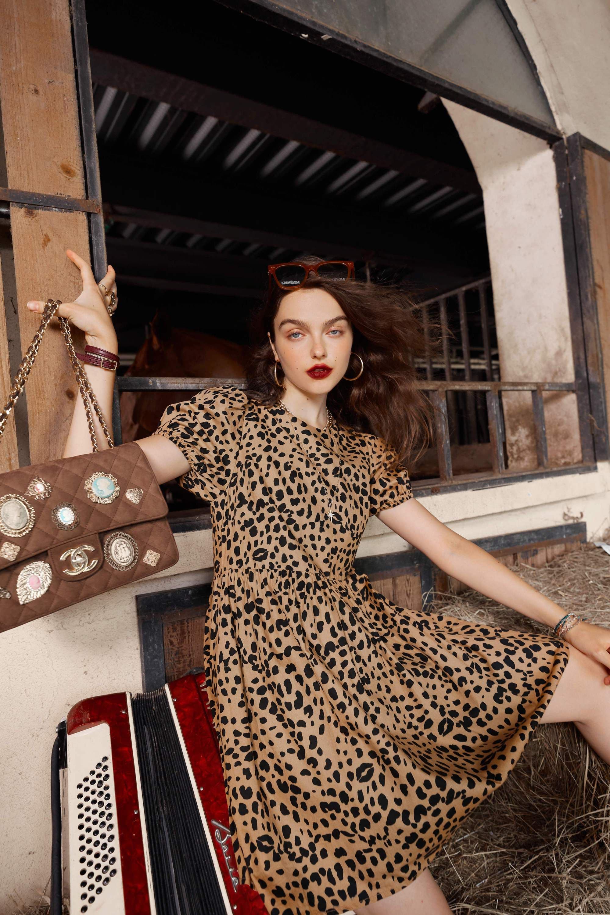 image-Leopard High Waist Casual Vintage Dresses Women,Autumn Short Sleeve