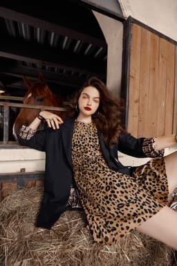 image-Leopard High Waist Casual Vintage Dresses Women,Autumn Short Sleeve