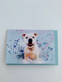 image-PETS CARD - #124
