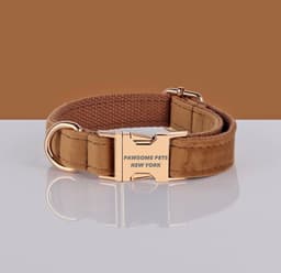 image-PAWSOME DOG COLLAR - #1