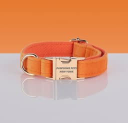 image-PAWSOME DOG COLLAR - #5