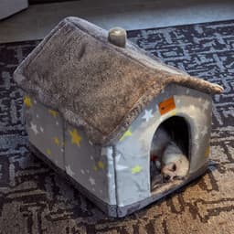 image-Dog house type winter warm small dog Teddy cat litter four seasons universal removable and washable dog house bed pet supplies