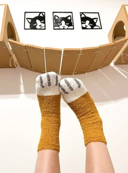 image-Pawsome Socks #1