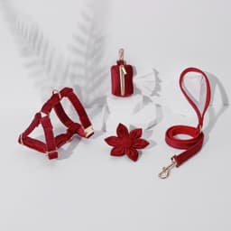 image-STEP IN FLORAL BUNDLE - BURGUNDY(4 pieces)