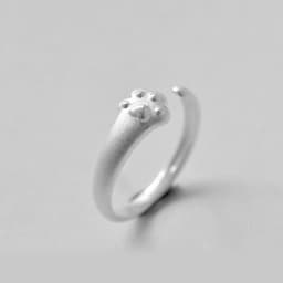 image-PAWSOME RINGS - #38