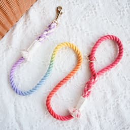 image-ROPE LEASH - DREAM RAINBOW
