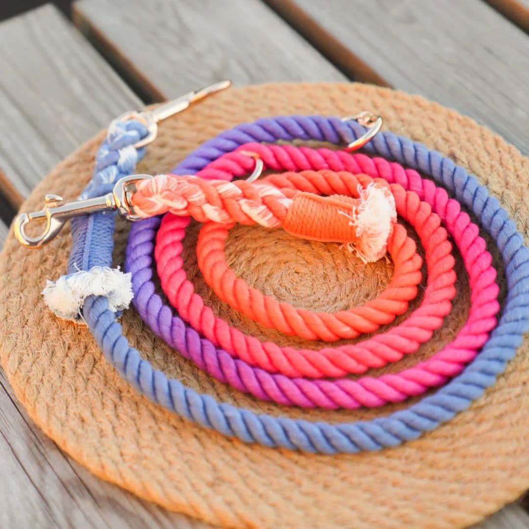image-HANDS FREE DOG ROPE LEASH - PALETTE