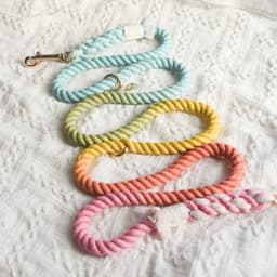 image-ROPE LEASH - SWEET LOLLIE