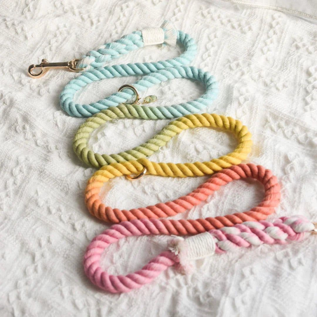 image-ROPE LEASH - SWEET LOLLIE