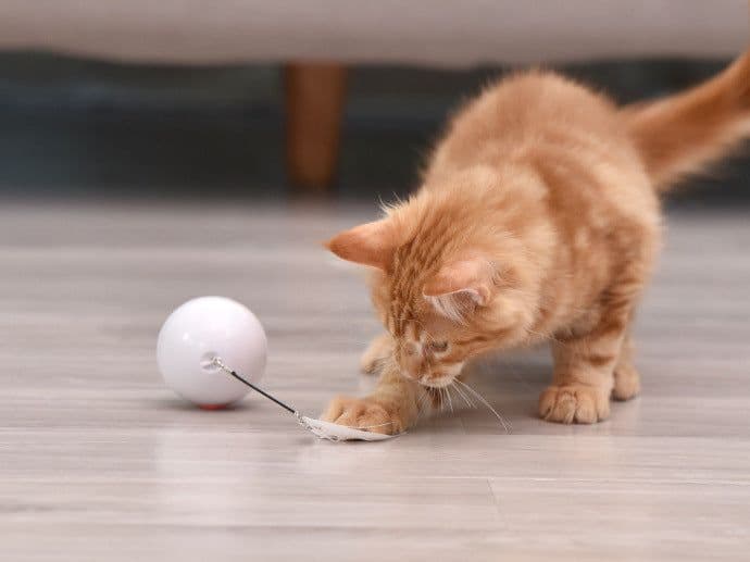 image-Pet cat toy LED luminous funny cat ball USB charging smart funny cat toy electric rolling ball