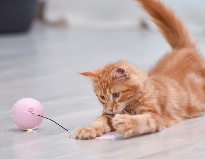 image-Pet cat toy LED luminous funny cat ball USB charging smart funny cat toy electric rolling ball