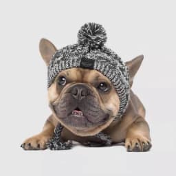 image-French bulldog hat with open ears wool hat pet winter warm small dog hat knitted headgear pug autumn and winter