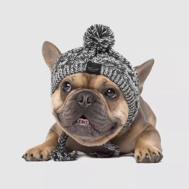 image-French bulldog hat with open ears wool hat pet winter warm small dog hat knitted headgear pug autumn and winter