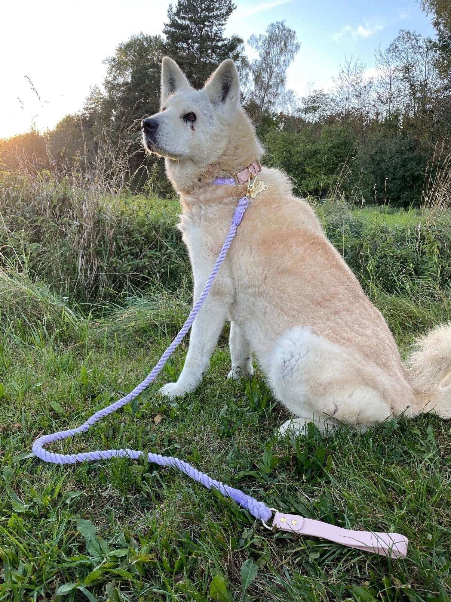 image-Luxe Royal Leather Rope Leash and Collar Set - Violet