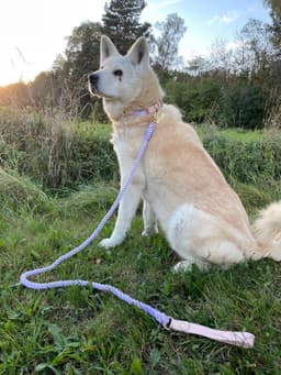 image-Luxe Royal Leather Rope Leash and Collar Set - Cotton Coral
