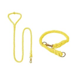 image-Dog Rope Leash and Collar Set - Lemon Squeeze