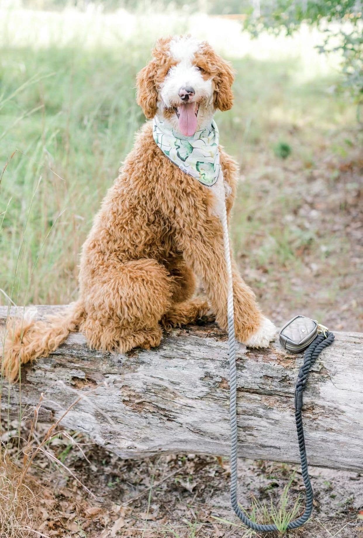 image-Dog Rope Leash and Collar Set - Cotton Coral