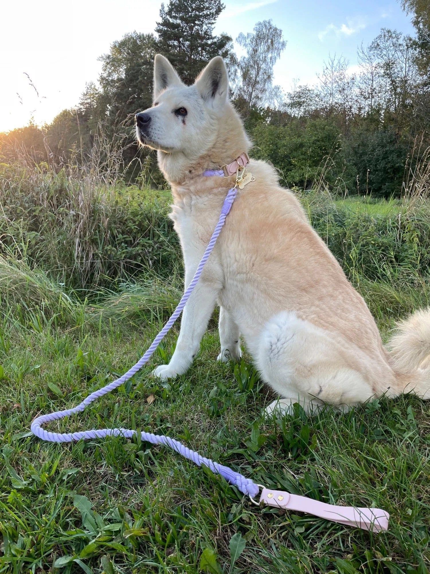 image-Dog Rope Leash and Collar Set - Cotton Coral