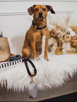 image-Luxe Royal Pink Leather Rope Leash - Classic Love