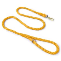 image-Dog Rope Leash - Saffron
