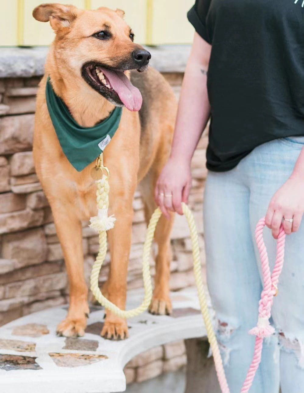 image-Dog Rope Leash - Forest Love