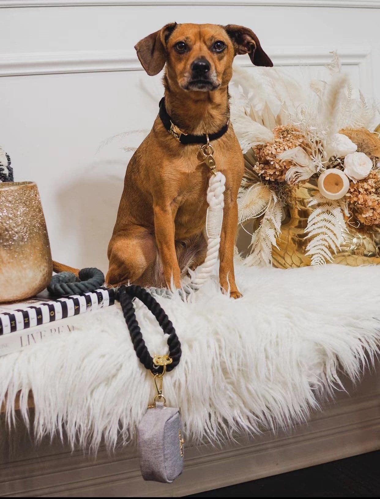 image-Dog Rope Leash - Ombré Yellow