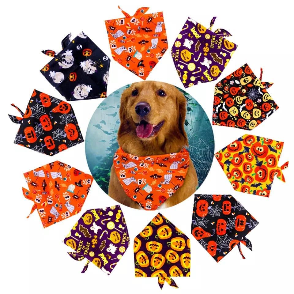 image-NEW PRODUCT Halloween style bibs for pets