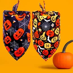 image-NEW PRODUCT Halloween style bibs for pets